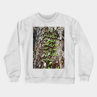 Vine Crewneck Sweatshirt